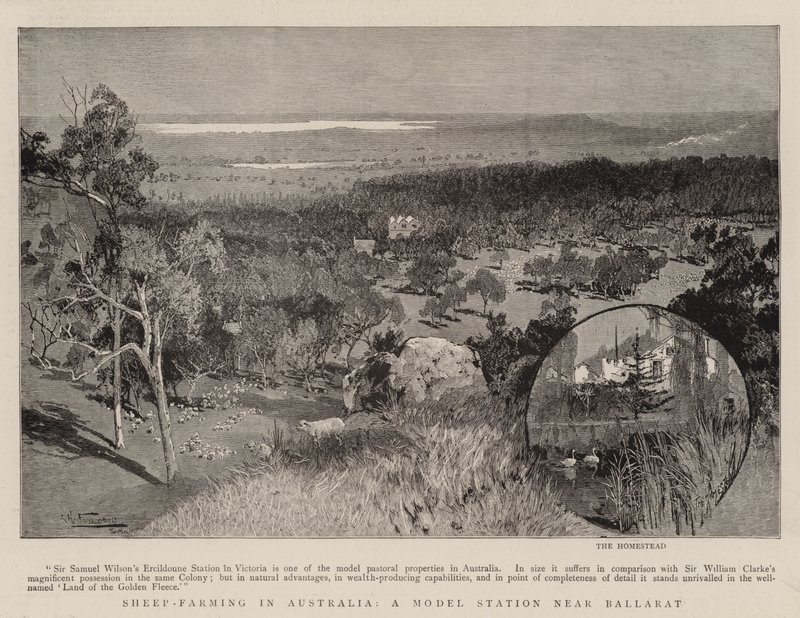 Ovinocultura na Austrália, uma estação modelo perto de Ballarat de Albert Henry Fullwood