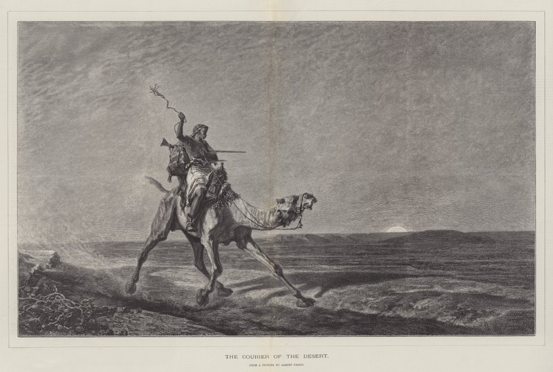 O Courier do Deserto de Alberto Pasini