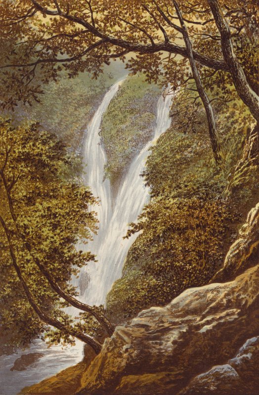 Stock Gill Force de Alexander Francis Lydon