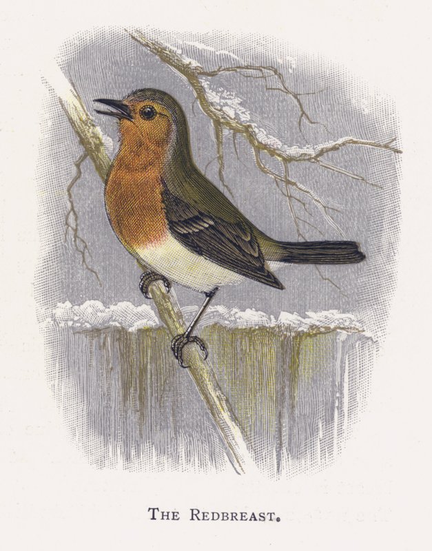 O Redbreast de Alexander Francis Lydon