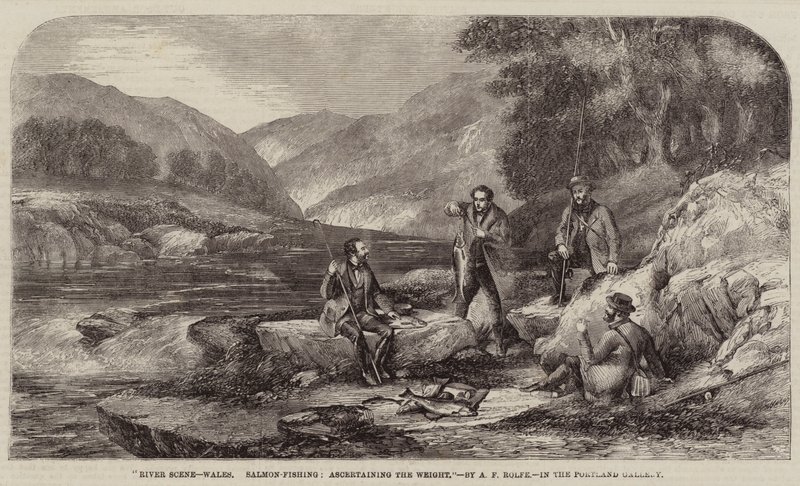 Cena do rio, País de Gales, pesca de salmão, verificando o peso de Alexander Rolfe