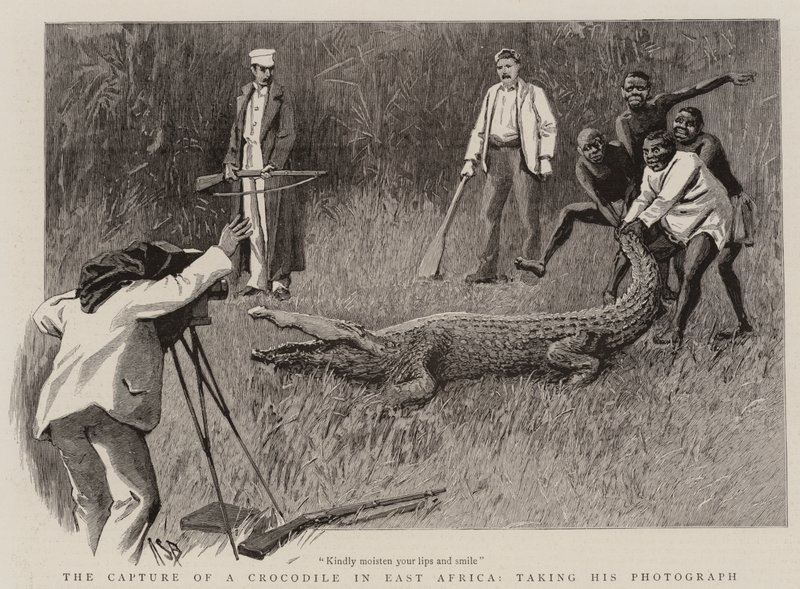 A captura de um crocodilo na África Oriental, tirando sua fotografia de Alexander Stuart Boyd
