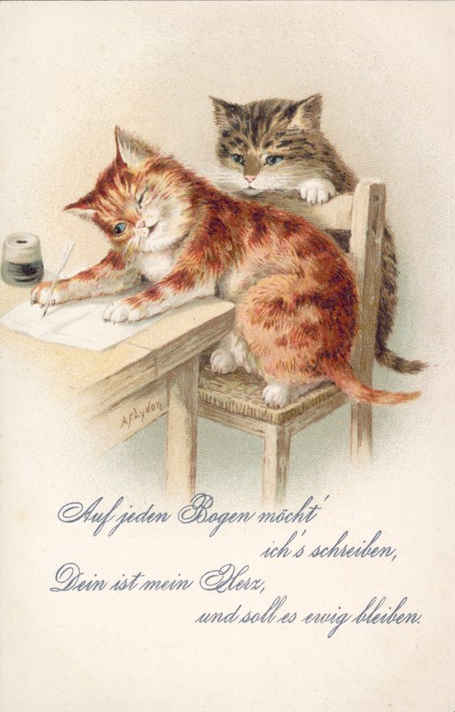 Postal humorístico de um gato (litografia a cores) de Alexander Francis (after) Lydon