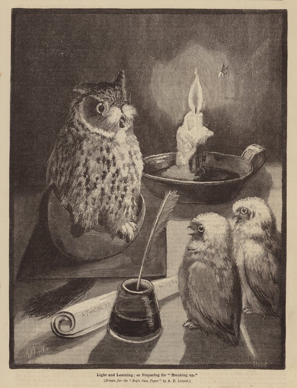Luz e Aprendizagem; ou, Preparação para a Rutura (litografia) de Alexander Francis (after) Lydon
