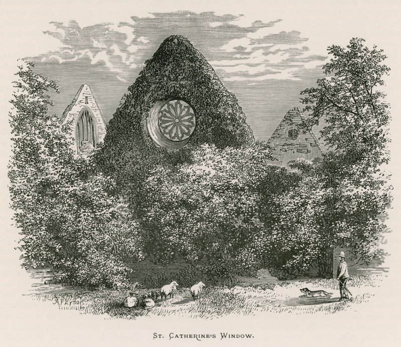 Abadia de Dryburgh, a janela de Santa Catarina de Alexander Francis Lydon