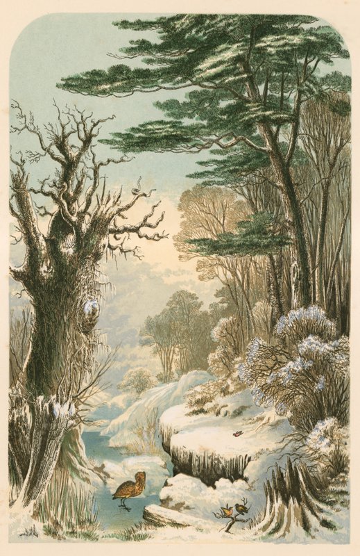 Ilustração para as madeiras de Longfellow no inverno de Alexander Francis Lydon