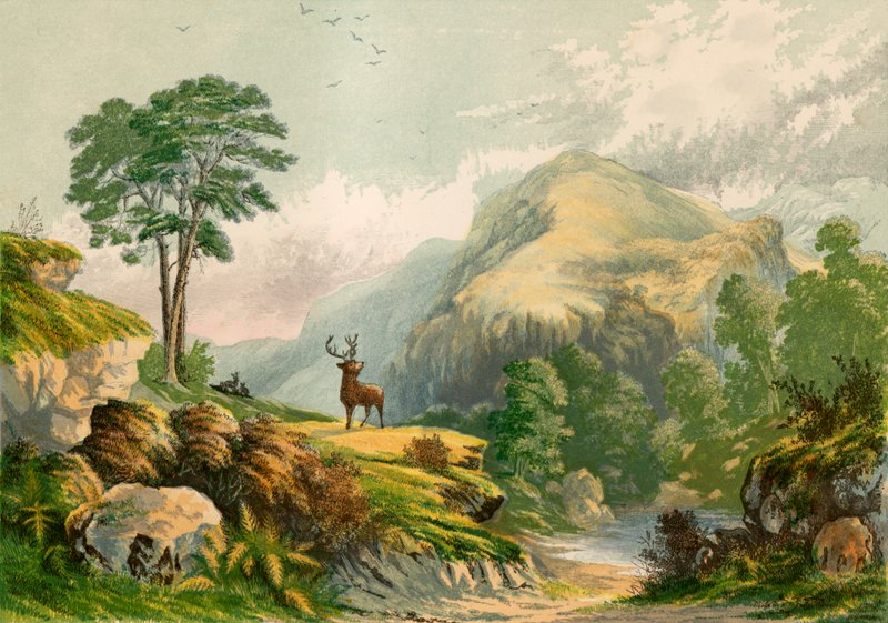 Ilustração para o endereço de Wilson para um cervo selvagem de Alexander Francis Lydon