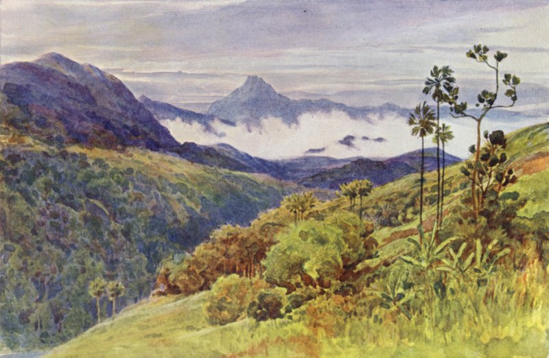 Brumas matinais no Vale do Gangha Mahawelli (cor litho) de Alexander Henry Hallam Murray