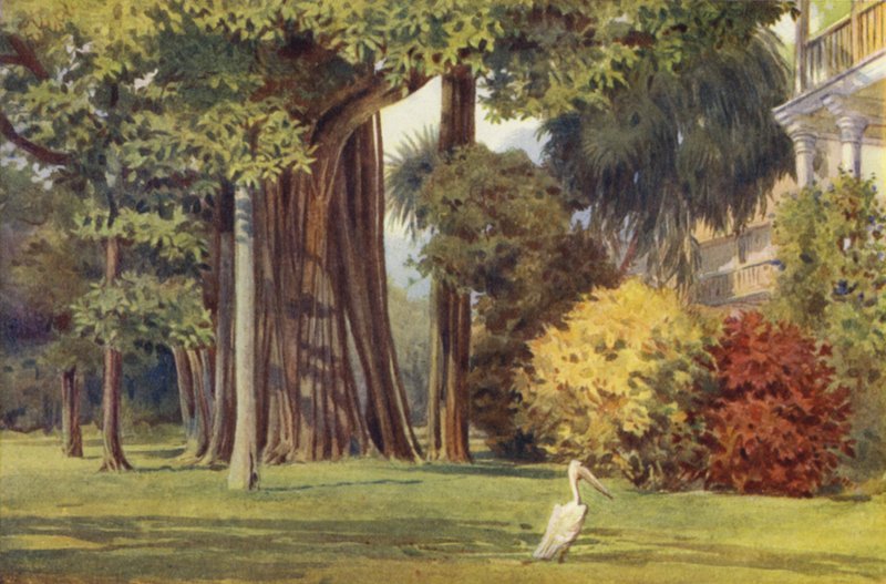 The Queens House, Colombo de Alexander Henry Hallam Murray