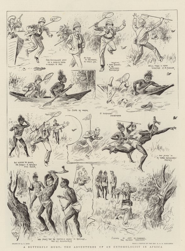 Uma caça às borboletas, as aventuras de um entomologista na África de Alexander Stuart Boyd