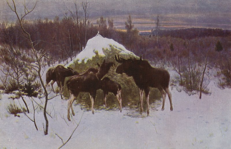 Rebanho de Elk, 1889 de Alexei Steipanovitch Stepanov