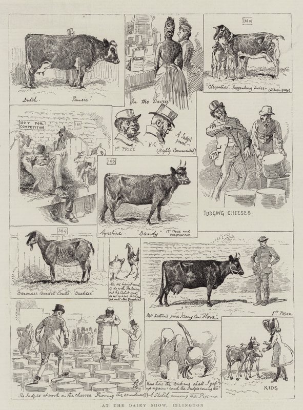 No Show de Leiteria, Islington de Alfred Chantrey Corbould
