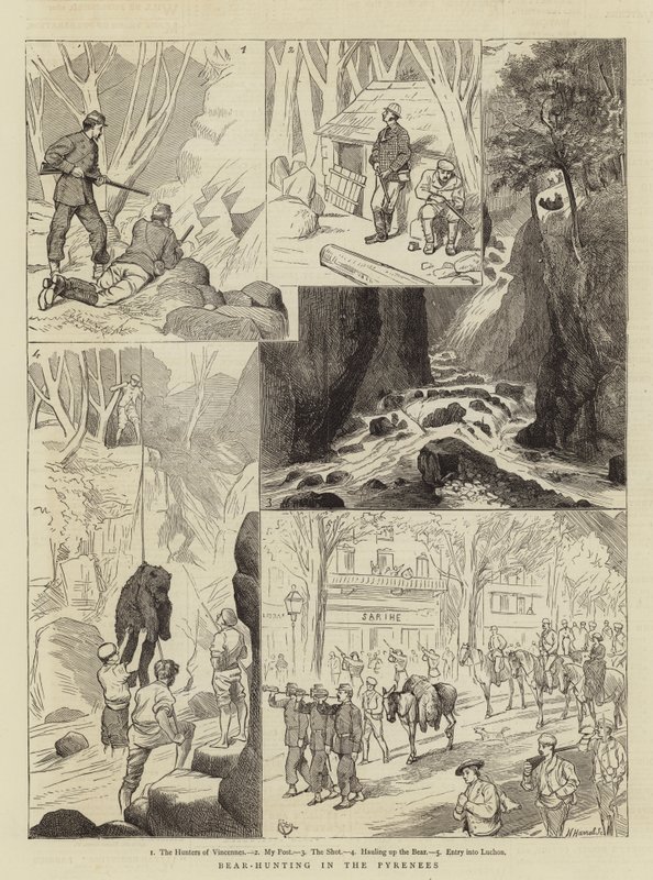Caça aos Ursos nos Pirinéus de Alfred Chantrey Corbould