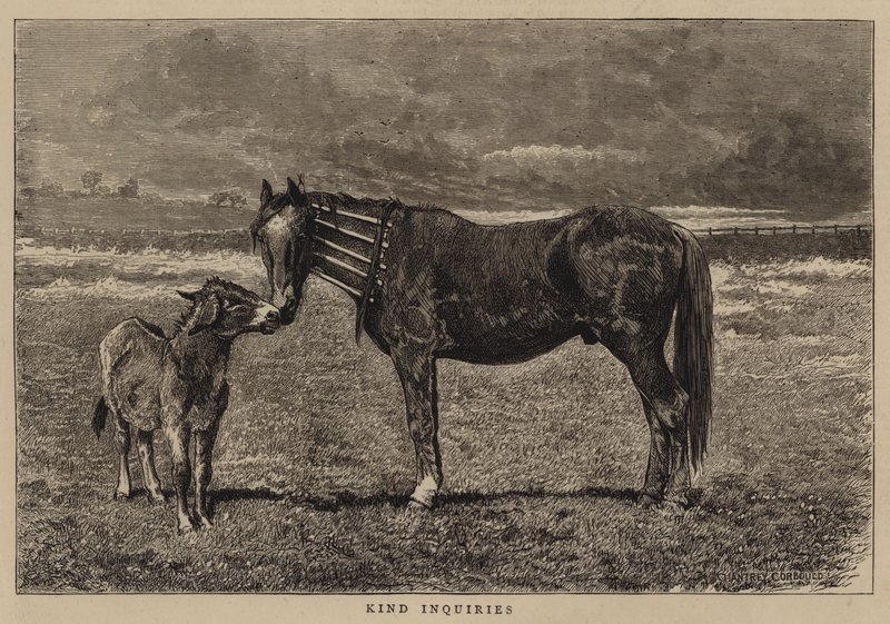 Inquéritos Kind de Alfred Chantrey Corbould
