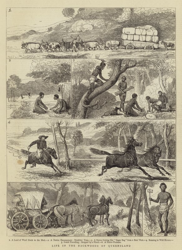 A vida no sertão de Queensland de Alfred Chantrey Corbould