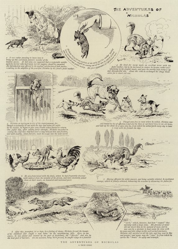 As aventuras de nicholas de Alfred Chantrey Corbould