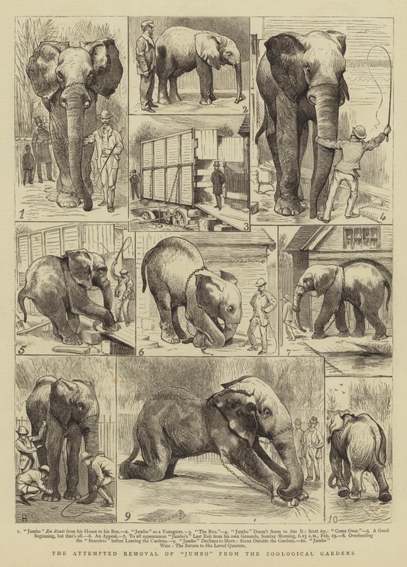 A tentativa de remoção de jumbo dos jardins zoológicos de Alfred Chantrey Corbould