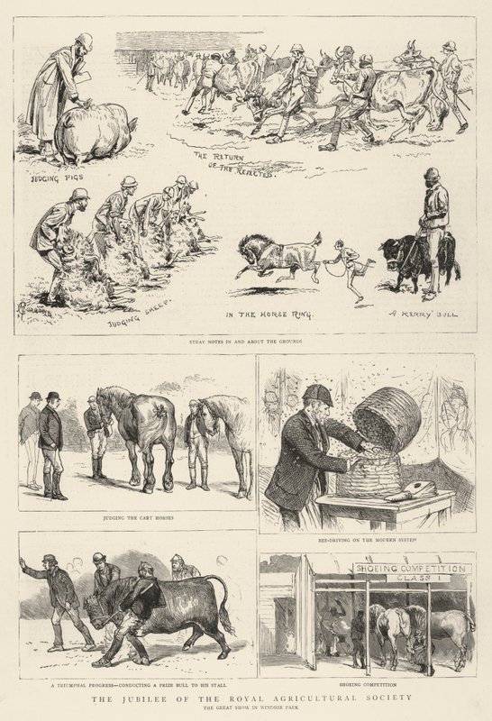 O Jubileu da Real Sociedade Agrícola de Alfred Chantrey Corbould