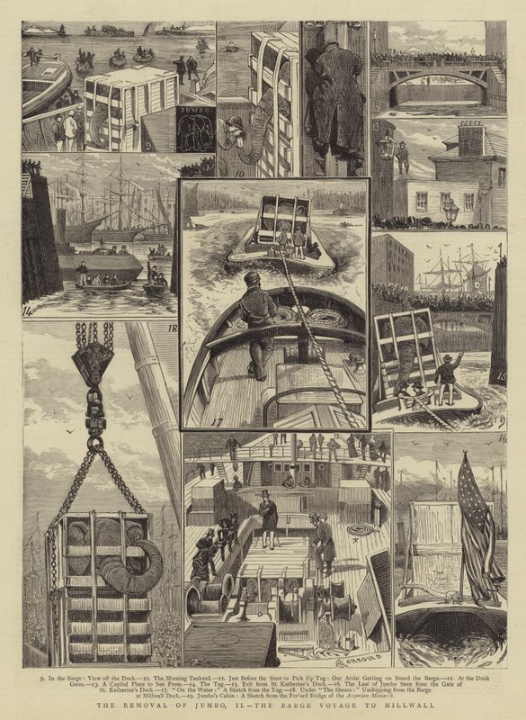 A remoção de Jumbo, II, a viagem de barcaça para Millwall de Alfred Chantrey Corbould