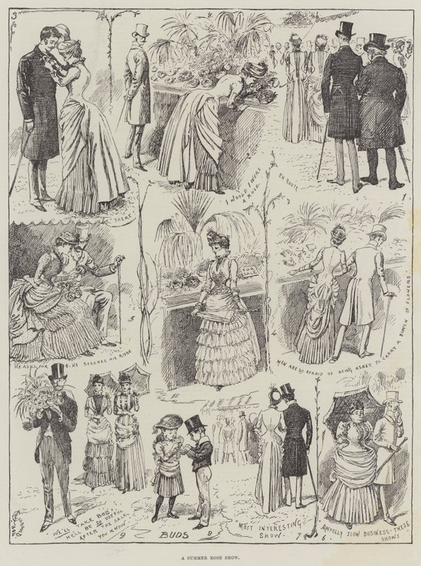 Um show de verão rosa de Alfred Courbould