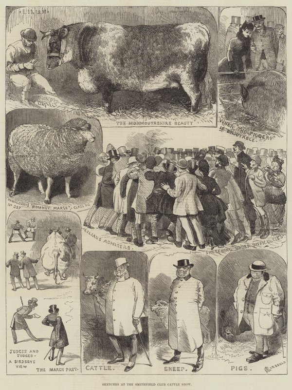 Esboços no Smithfield Club Cattle Show de Alfred Courbould
