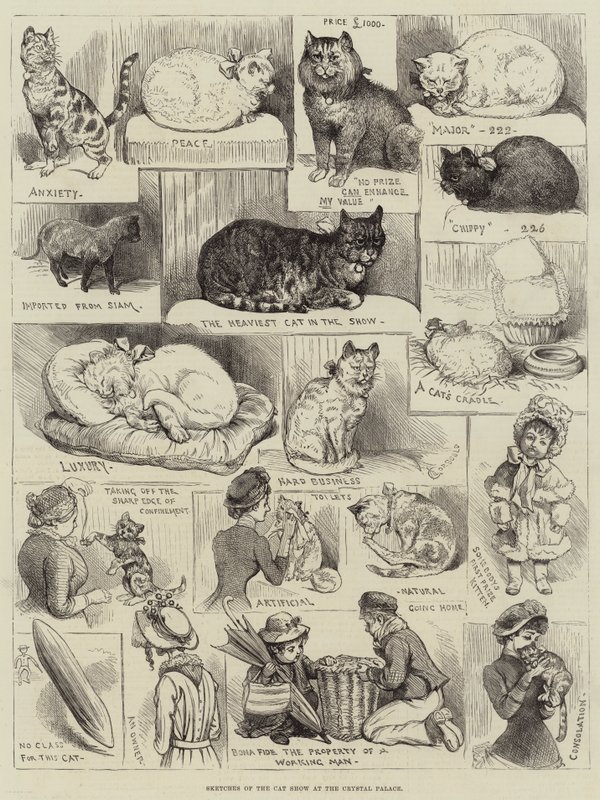 Esboços do Show dos Gatos no Palácio de Cristal de Alfred Courbould