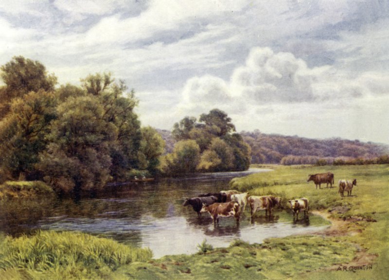 Nuneham Park de Alfred Robert Quinton