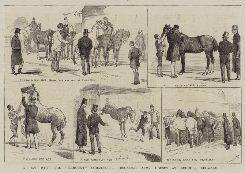 Um dia com o Comitê de Remontagem, comprando cavalos do Exército em Redhill, Edgware de Alfred Chantrey Corbould