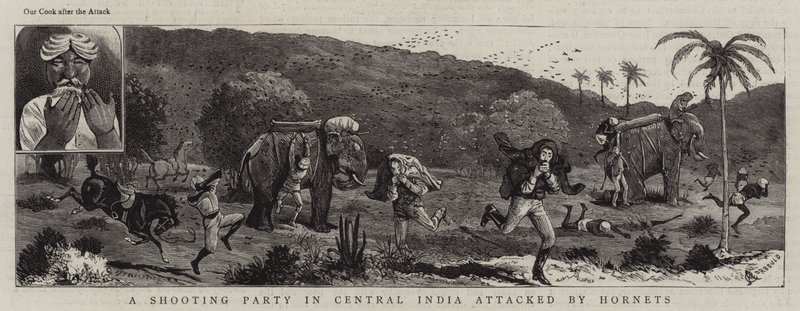 Uma festa de tiro na Índia Central atacada por Hornets de Alfred Chantrey Corbould