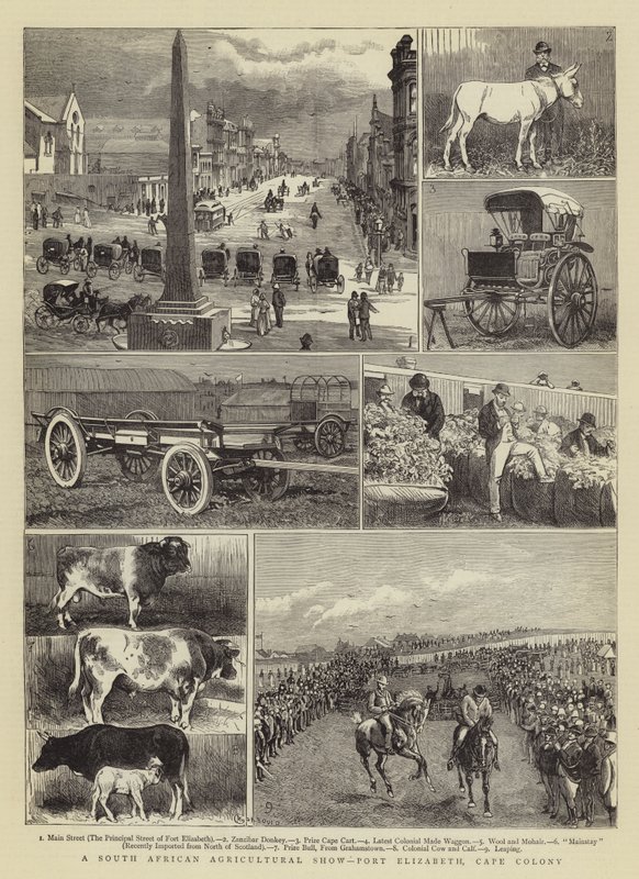 Um show agrícola sul-africano, Port Elizabeth, Cape Colony de Alfred Chantrey Corbould