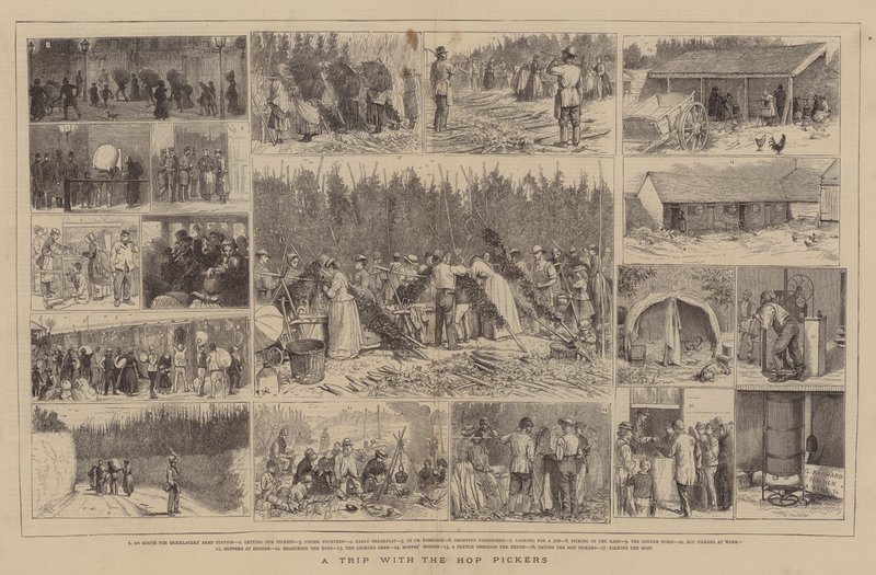 Uma viagem com os selecionadores de lúpulo de Alfred Chantrey Corbould