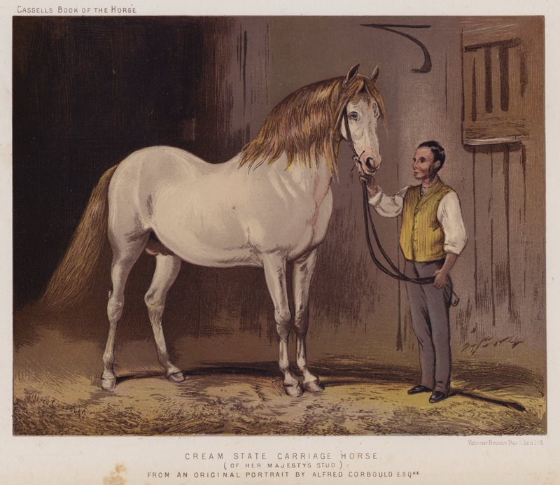 Cavalo de Transporte do Estado Creme, de Sua Majestade o Cavalo de Cavalo (cor litho) de Alfred Chantrey Corbould