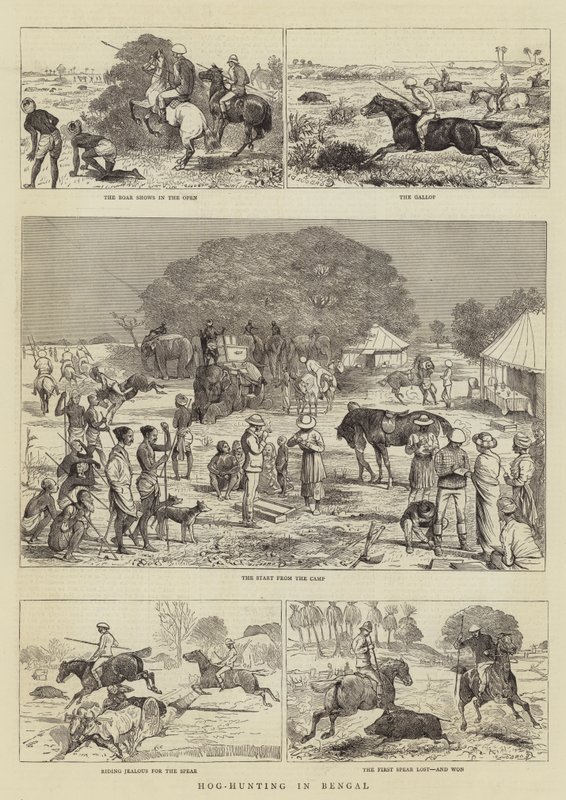 Caça ao porco em Bengala de Alfred Chantrey Corbould