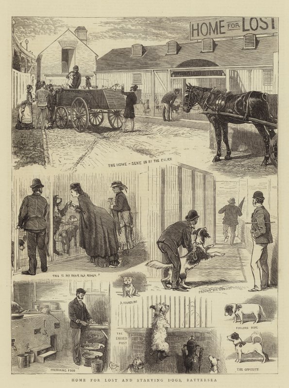 Casa para cães perdidos e famintos, Battersea de Alfred Chantrey Corbould