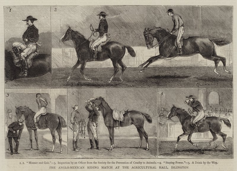 A partida de equitação anglo-mexicana no salão agrícola, Islington de Alfred Chantrey Corbould