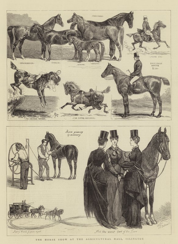 O Horse Show no Salão Agrícola, Islington de Alfred Chantrey Corbould