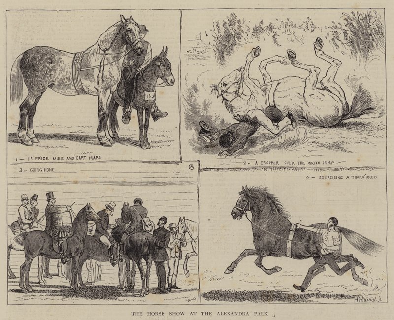 O Show do Cavalo no Alexandra Park de Alfred Chantrey Corbould