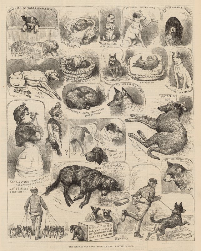O Kennel Club Dog Show no Palácio de Cristal de Alfred Chantrey Corbould