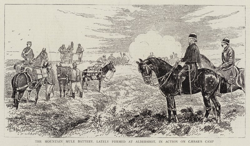 The Mountain Mule Battery, recentemente formado em Aldershot, em Action on Caesar&39;s Camp de Alfred Chantrey Corbould