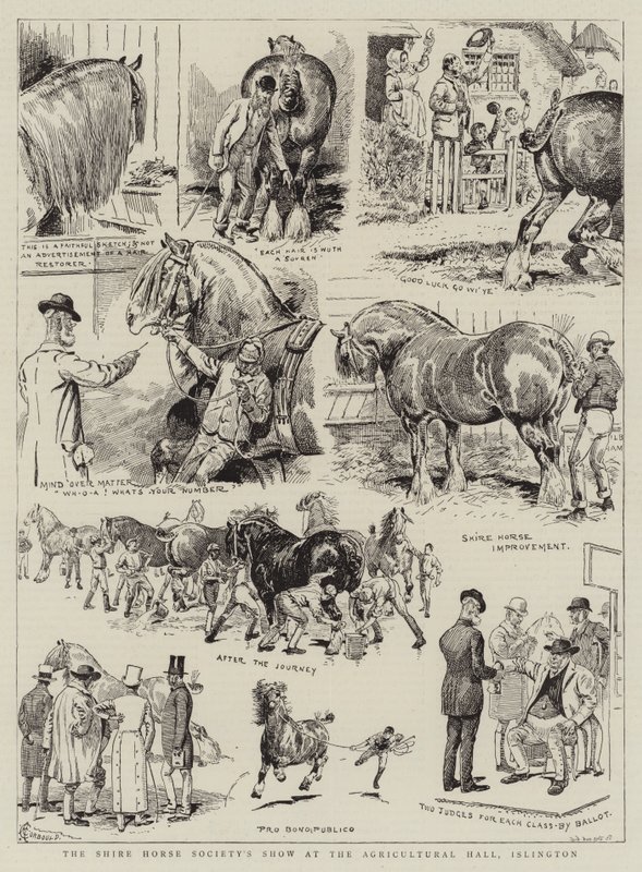 Show da Shire Horse Society no Salão Agrícola, Islington de Alfred Chantrey Corbould