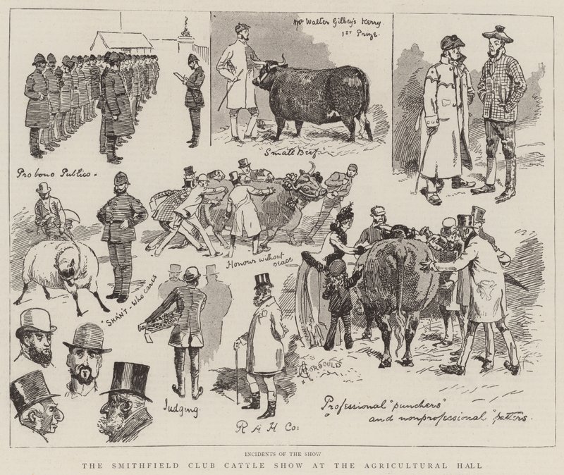 O Smithfield Club Cattle Show no Salão Agrícola de Alfred Chantrey Corbould