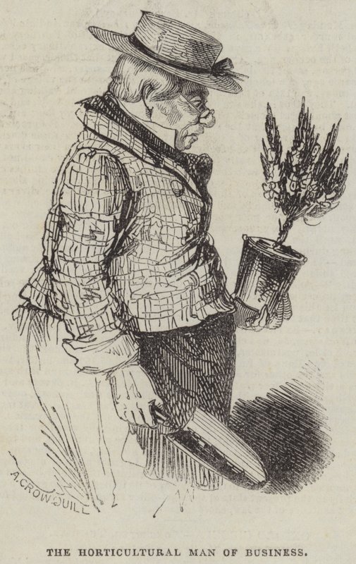 O homem de negócios hortícola de Alfred Crowquill