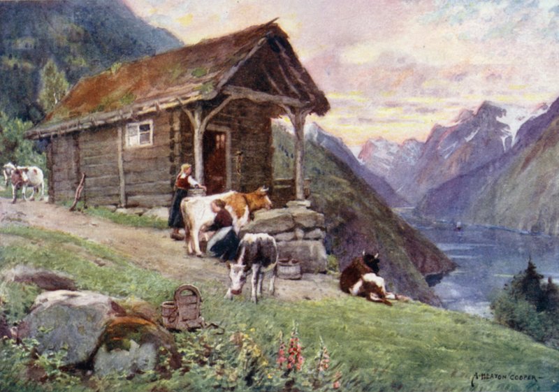 Um Saeter, Fiorde de Besouro (cor litho) de Alfred Heaton Cooper