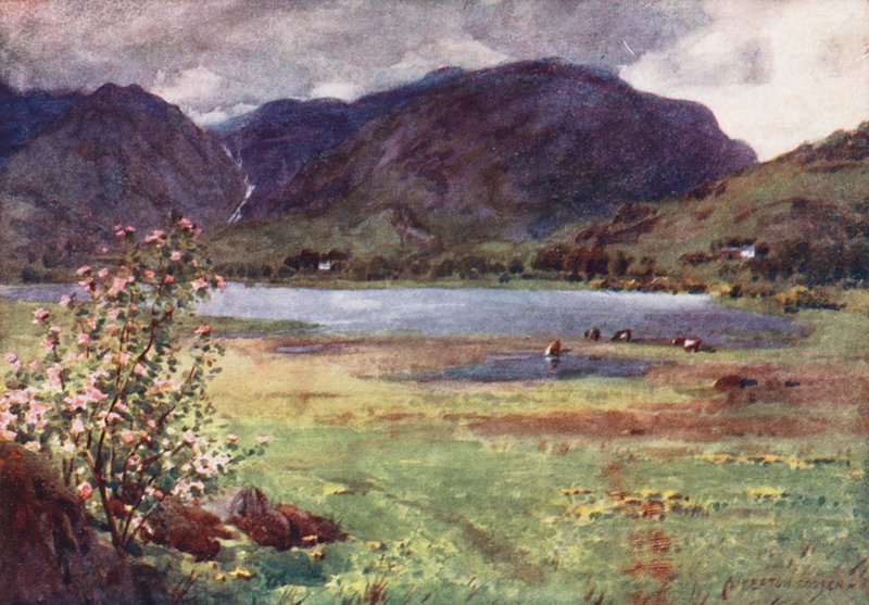 Região dos lagos: Little Langdale Tarn (litografia a cores) de Alfred Heaton Cooper