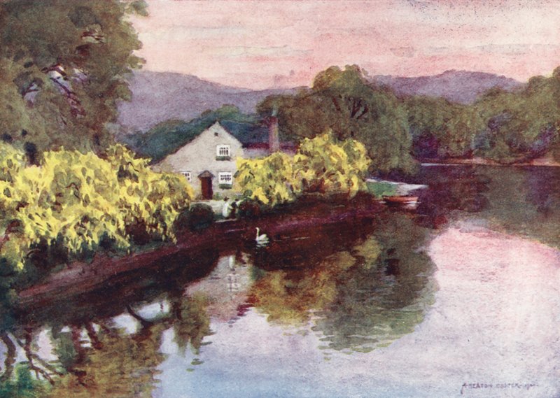 Região dos Lagos: Laburnums antigos em Newby Bridge, Windermere (litografia a cores) de Alfred Heaton Cooper