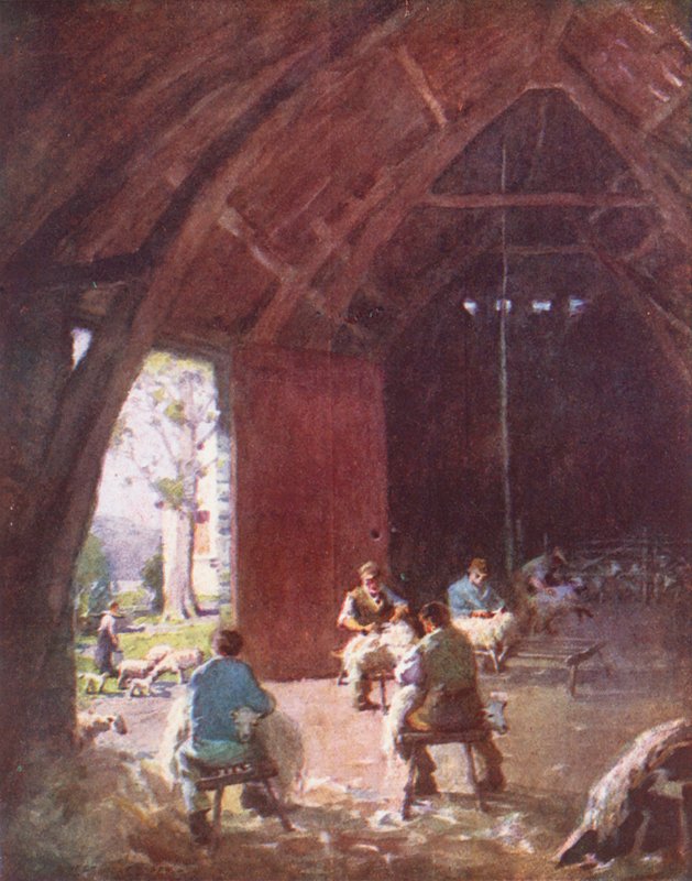 Distrito dos Lagos: Tosquia de ovelhas, Esthwaite Hall Farm (litografia a cores) de Alfred Heaton Cooper