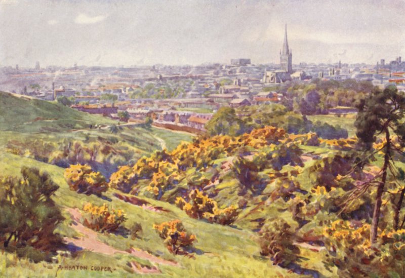 Norwich de Mousehold Heath, Norfolk de Alfred Heaton Cooper