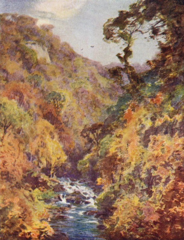 O Dargle, Condado de Wicklow de Alfred Heaton Cooper