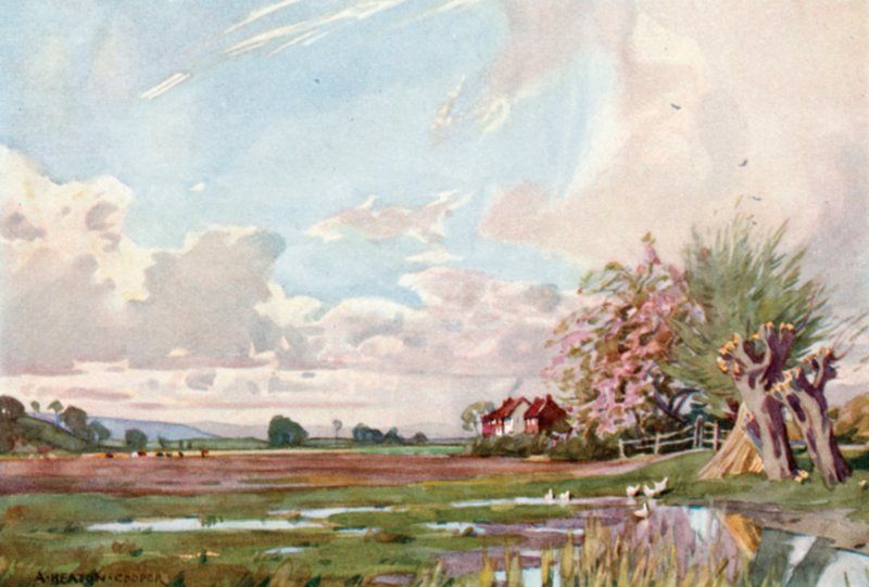 A Ilha de Athelney (cor litho) de Alfred Heaton Cooper