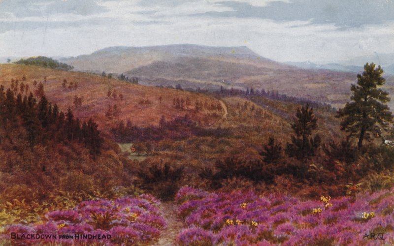 Blackdown de Hindhead de Alfred Robert Quinton